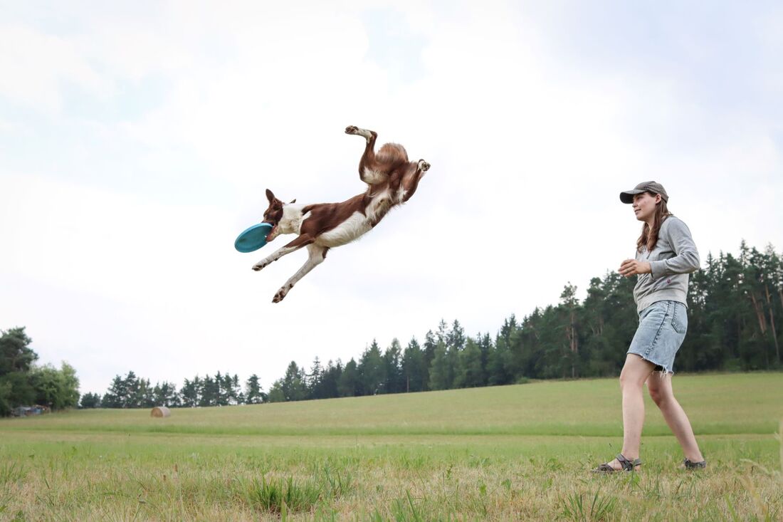 img-0138_orig