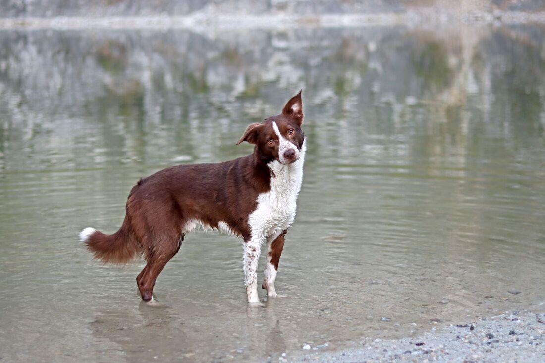 img-3923-2_orig