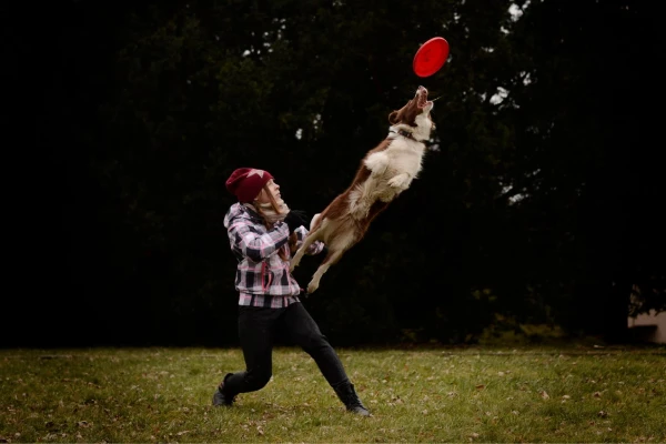 Zabezpieczone: Podstawy DogFrisbee